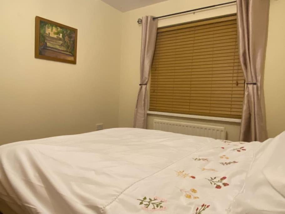 Walnut Apartment Larne Buitenkant foto